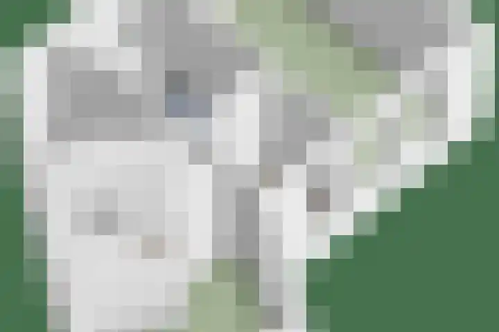 Maredijk 103 Leiden thumbnail 22