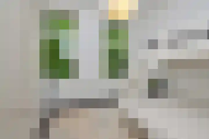 Maredijk 103 Leiden thumbnail 22