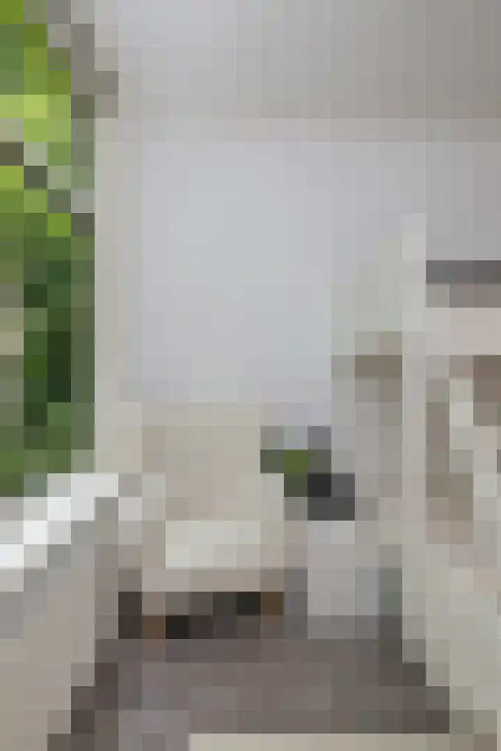 Maredijk 103 Leiden thumbnail 24