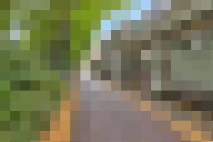 Maredijk 103 Leiden thumbnail 39