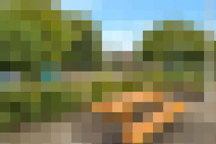 Maredijk 103 Leiden thumbnail 44