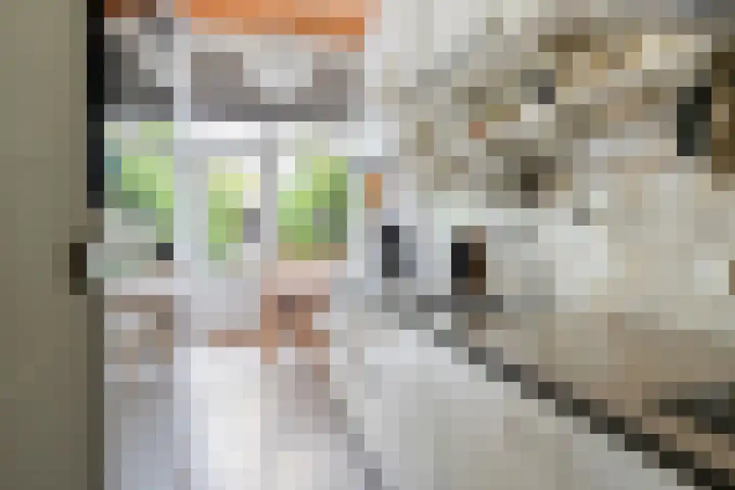 Maredijk 147 Leiden thumbnail 15