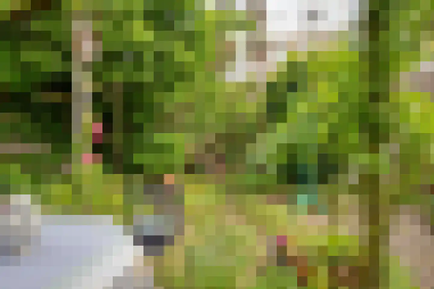 Maredijk 147 Leiden thumbnail 21