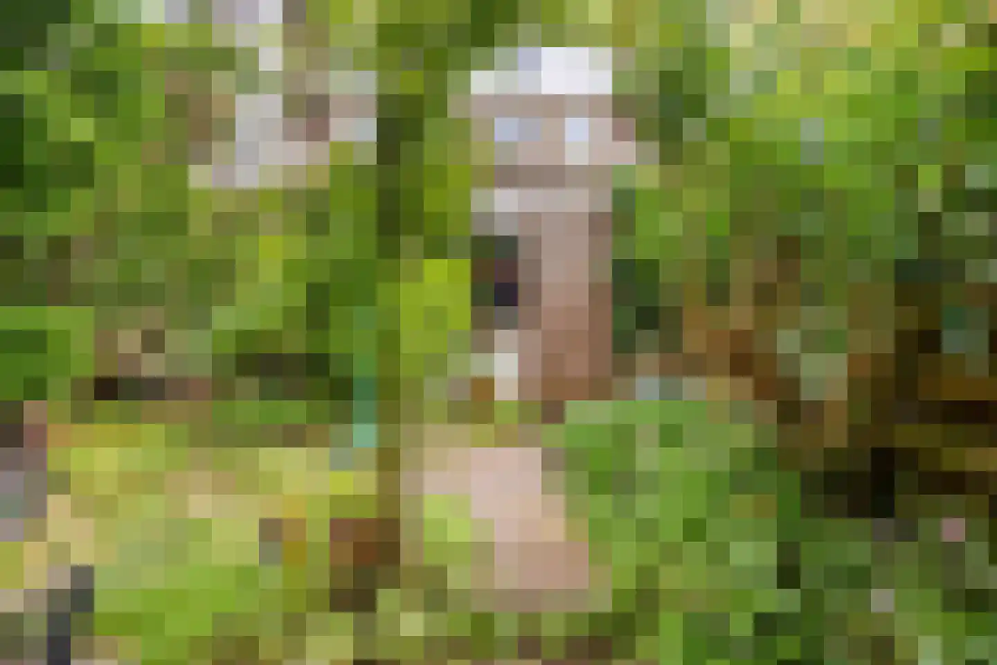 Maredijk 147 Leiden thumbnail 22