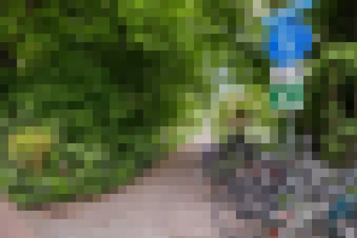 Maredijk 147 Leiden thumbnail 44