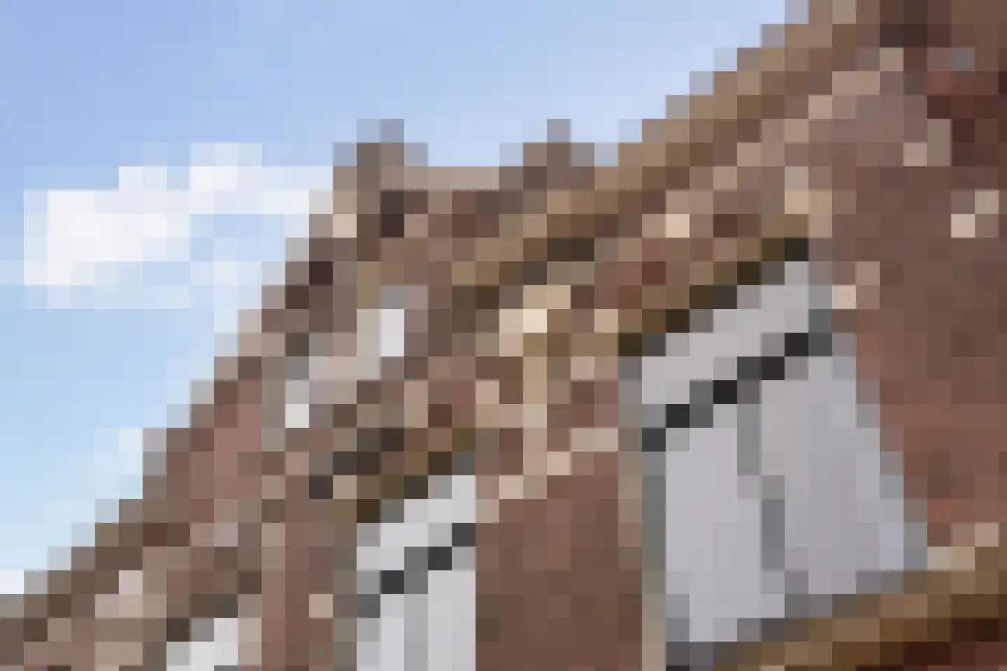 Maredijk 34 Leiden thumbnail 51