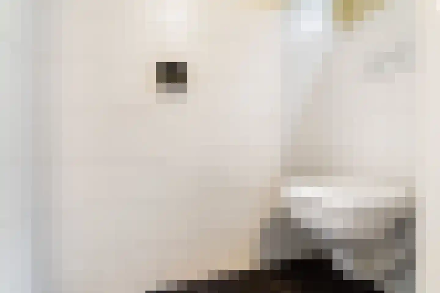 Maredijk 34 Leiden thumbnail 9