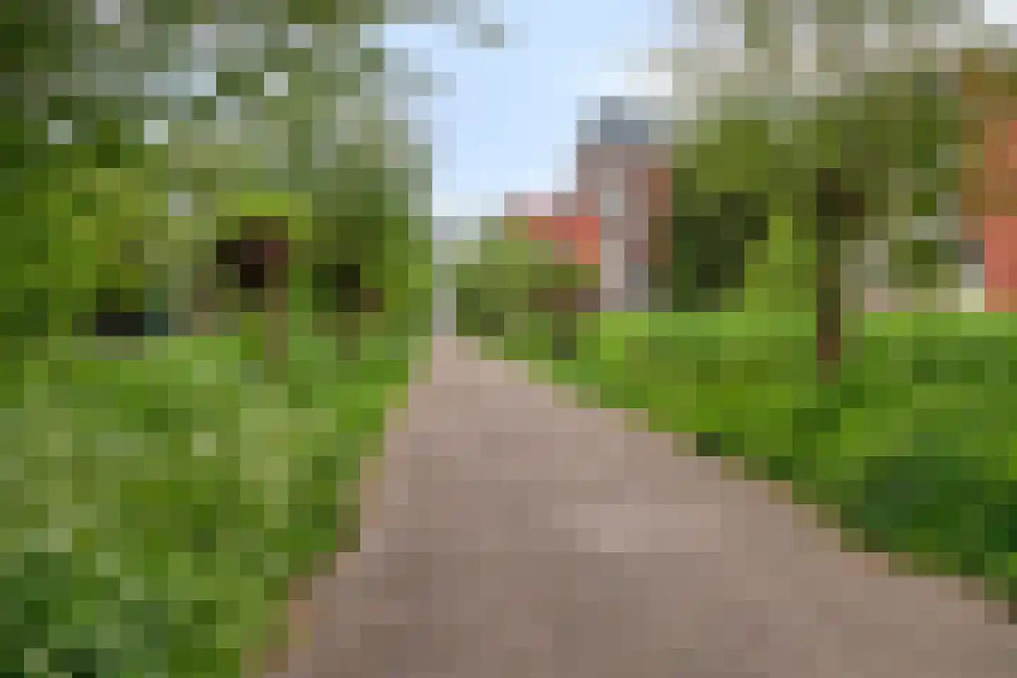 Maredijk 86 Leiden thumbnail 29