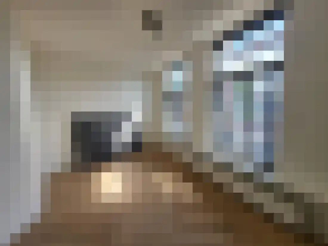 Maredijk 88 Leiden thumbnail 10