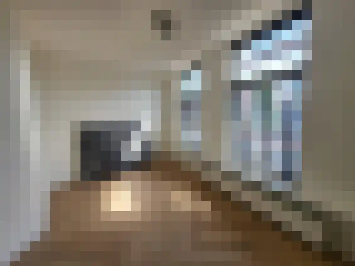 Maredijk 88 Leiden thumbnail 4