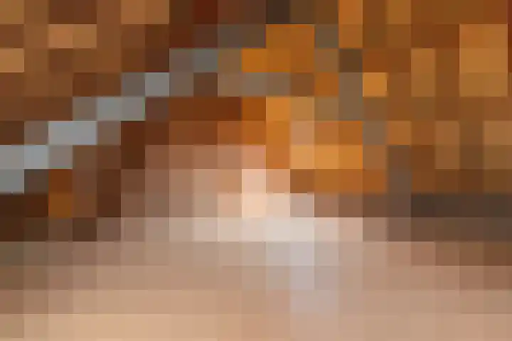 Mareheiweg 21 Klimmen thumbnail 27