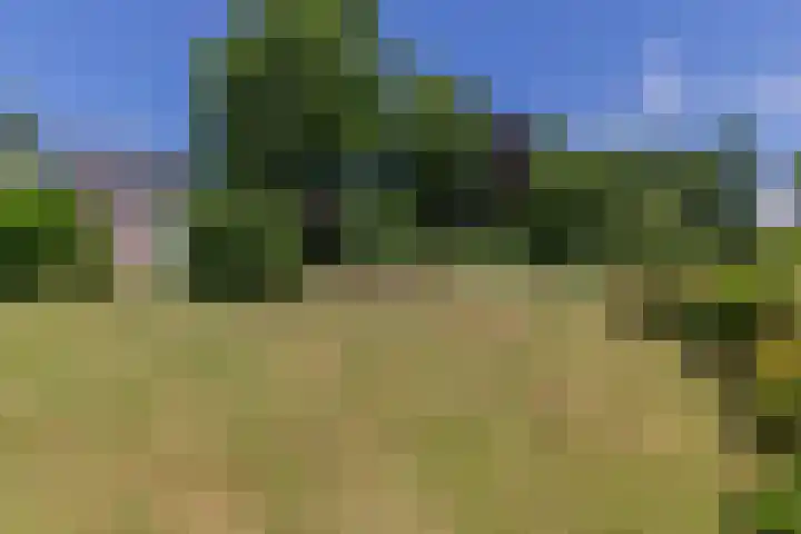 Mareheiweg 21 Klimmen thumbnail 32