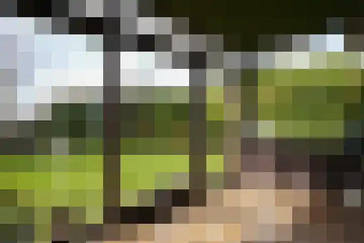 Mareheiweg 37 Klimmen thumbnail 19