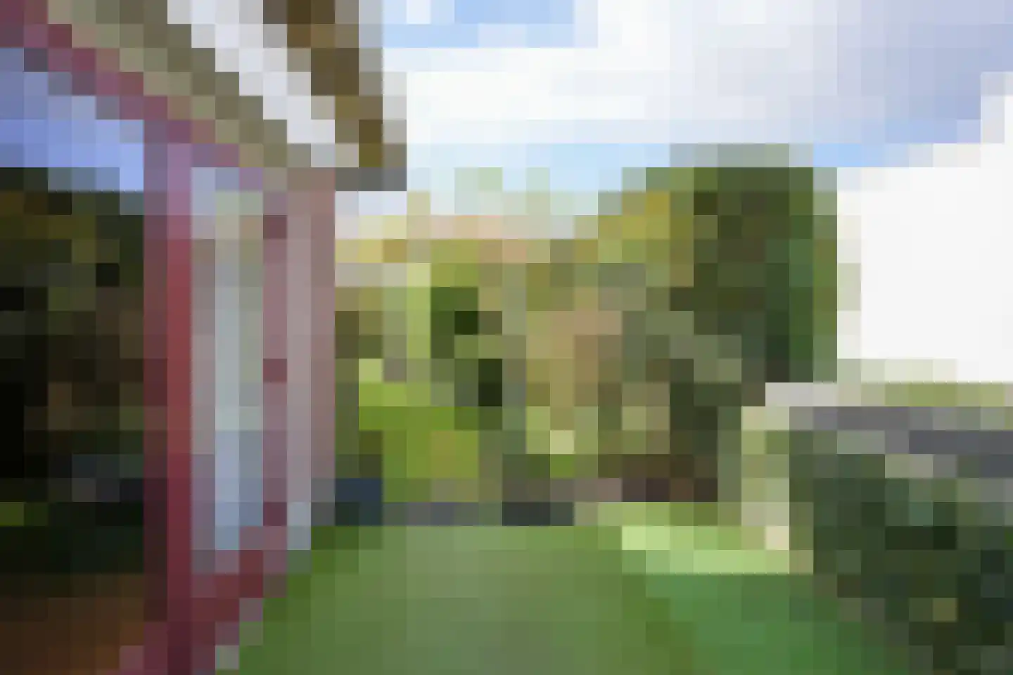 Mareheiweg 37 Klimmen thumbnail 26