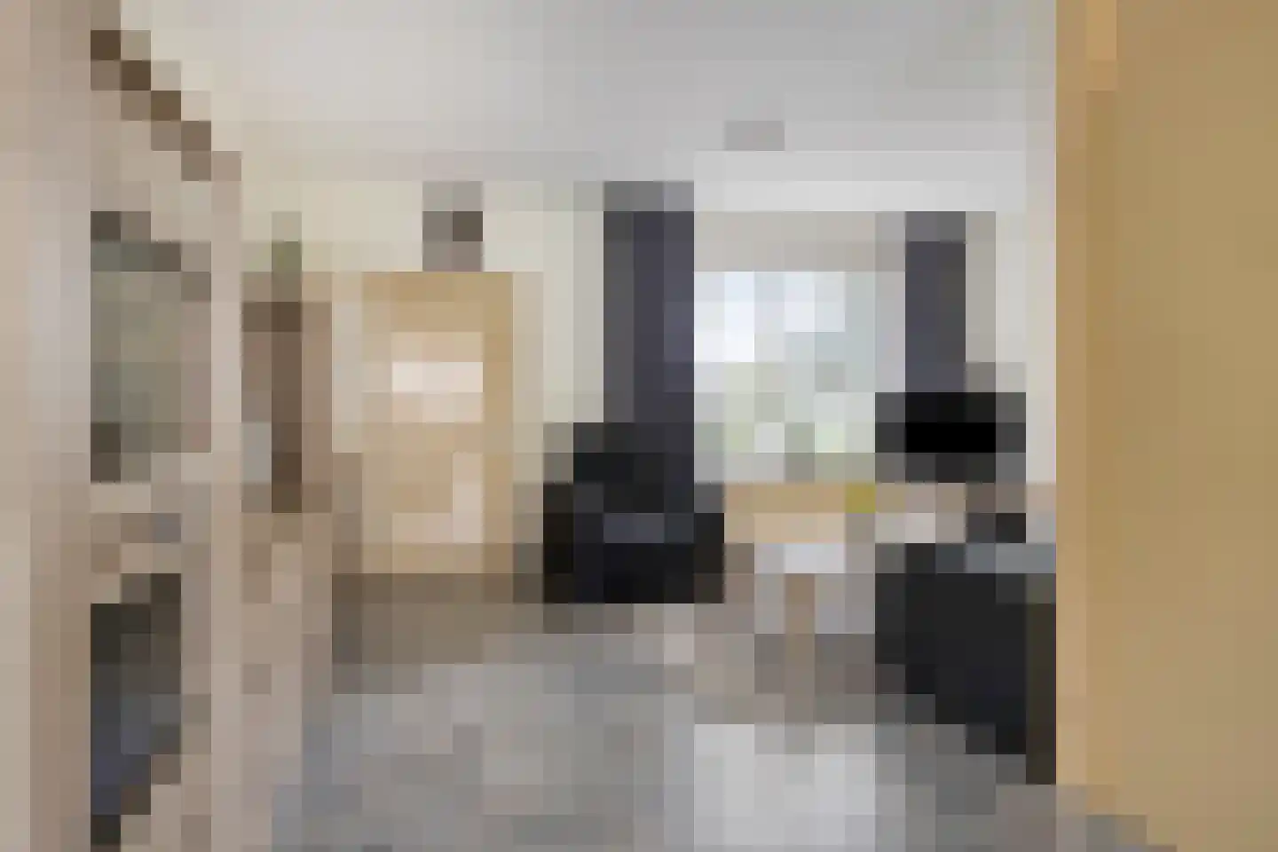 Marehoekstraat 26 Oud-Vossemeer thumbnail 10