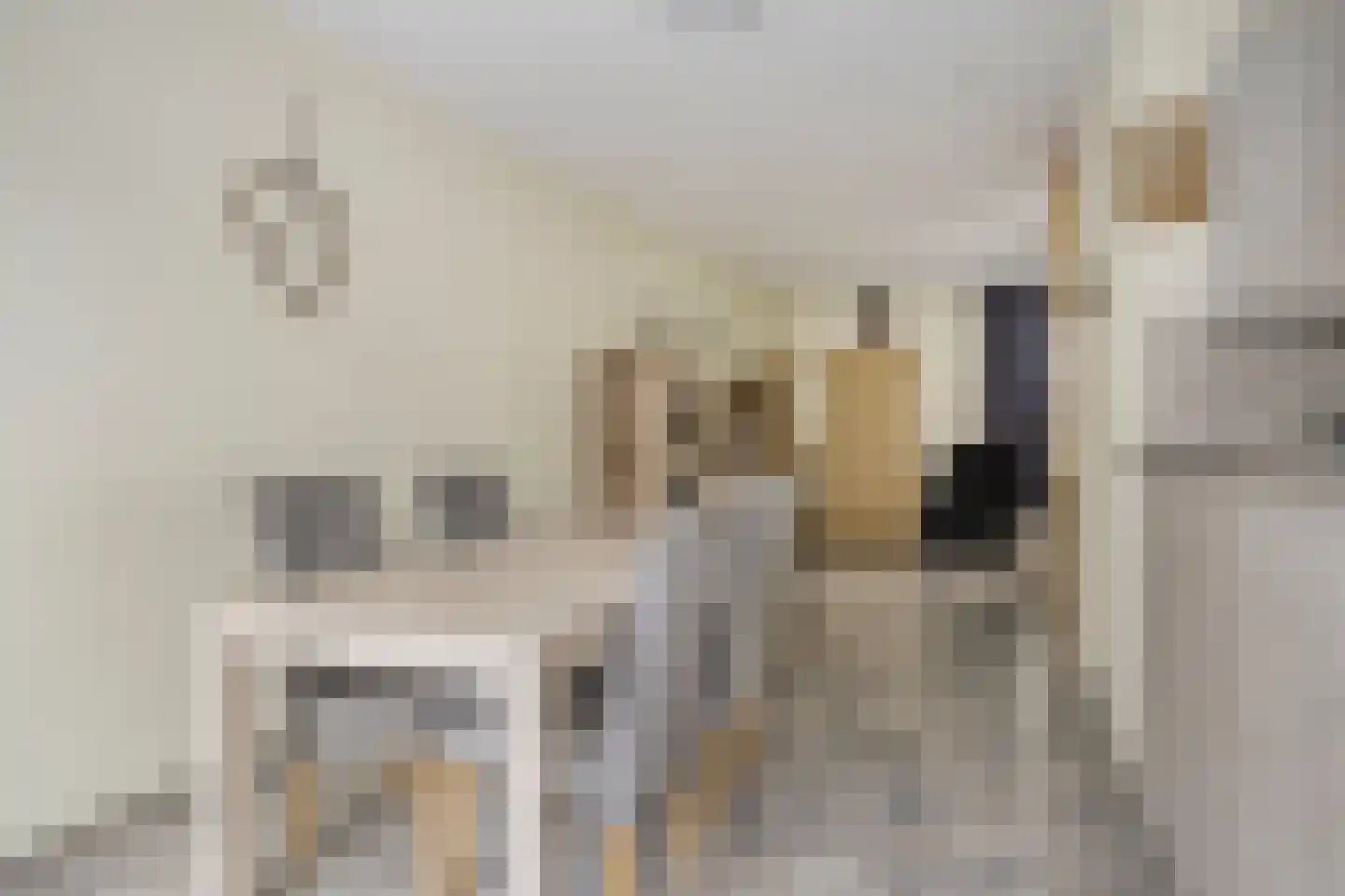 Marehoekstraat 26 Oud-Vossemeer thumbnail 11