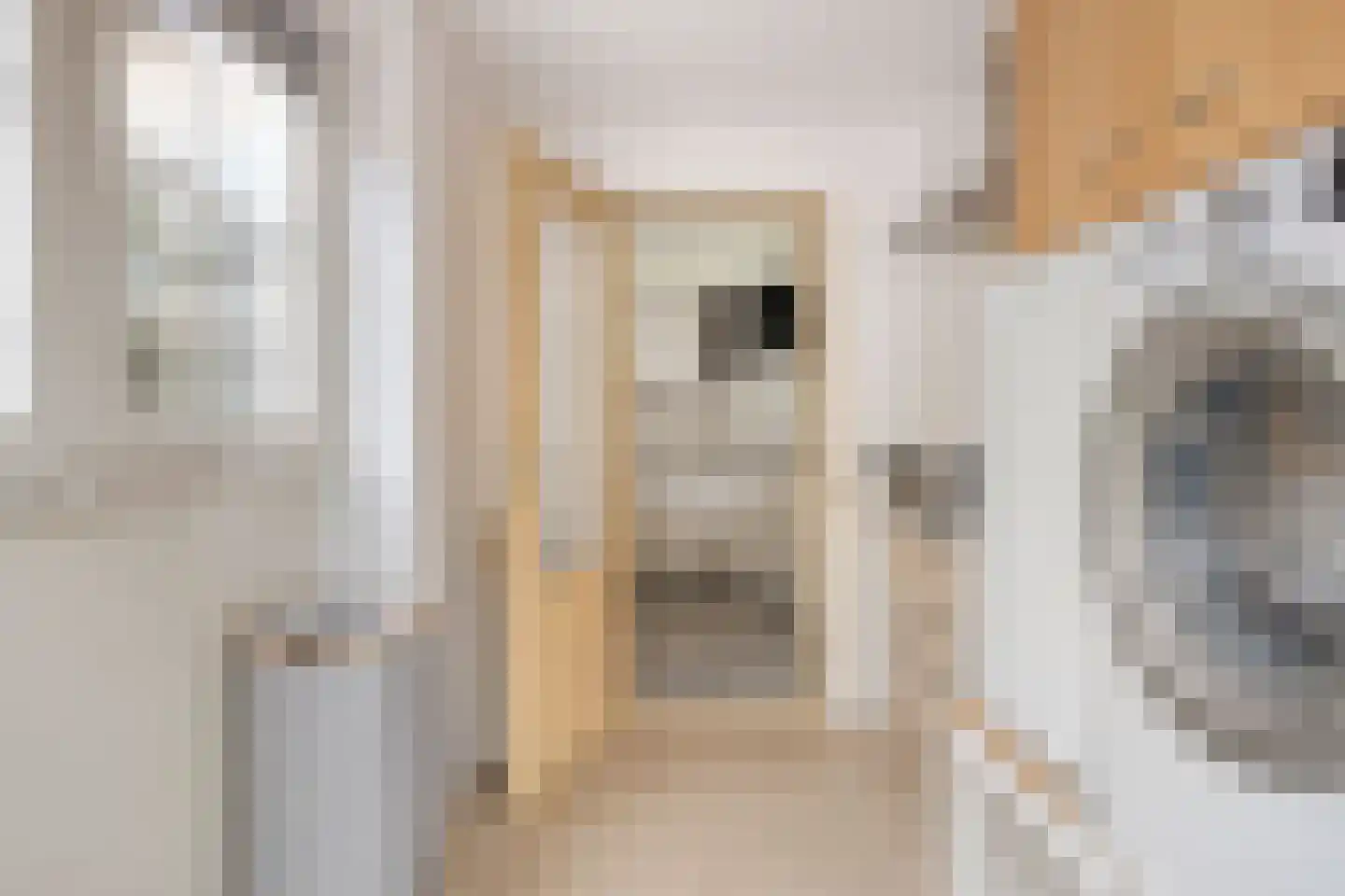 Marehoekstraat 26 Oud-Vossemeer thumbnail 17