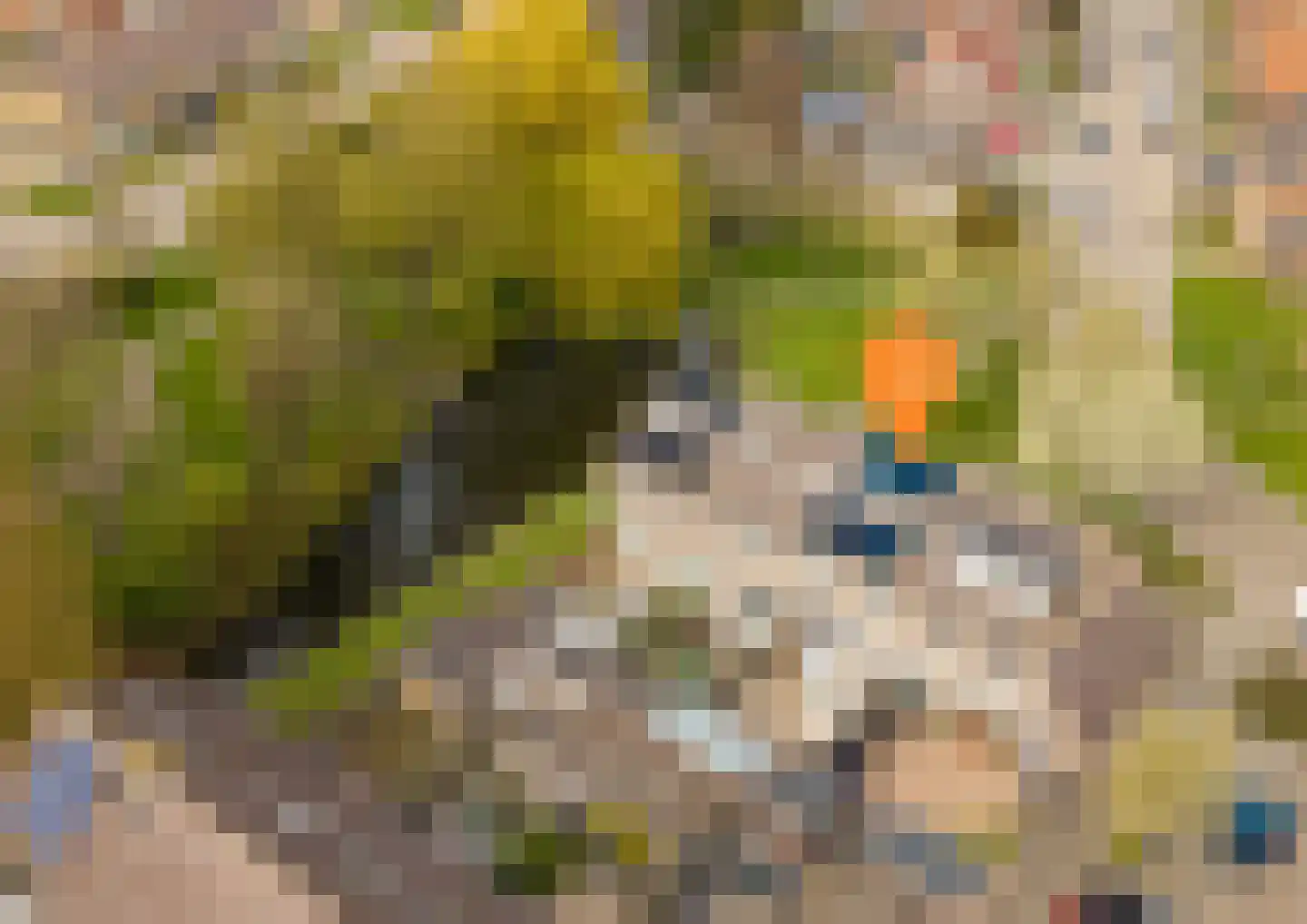 Marehoekstraat 26 Oud-Vossemeer thumbnail 4