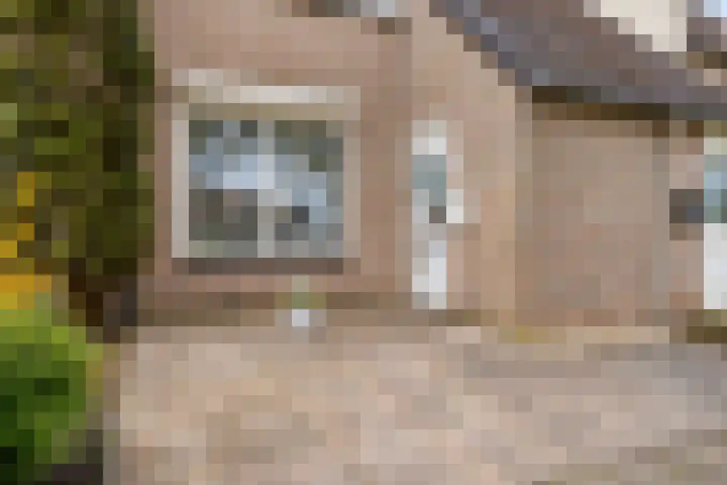 Marehoekstraat 26 Oud-Vossemeer thumbnail 6