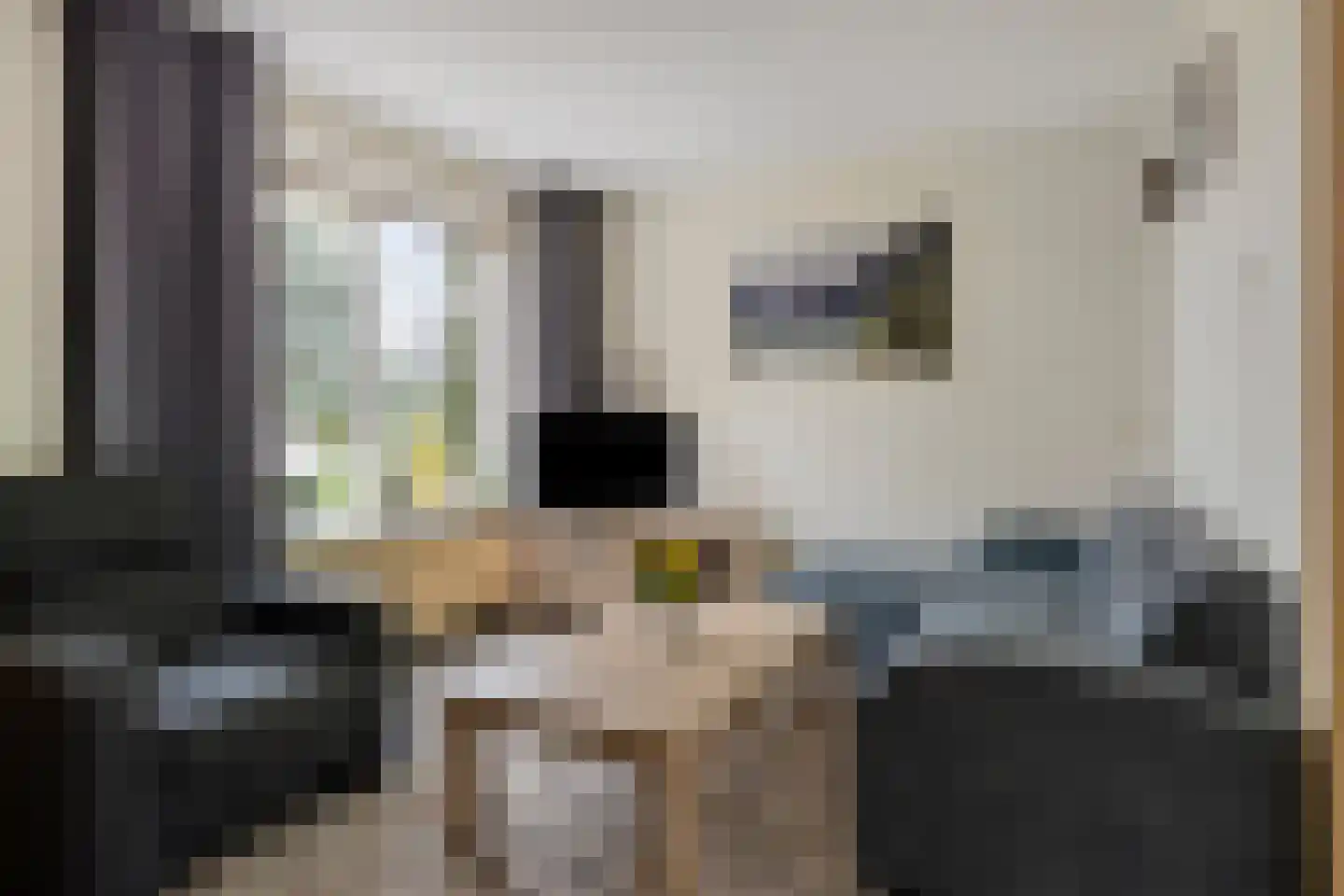 Marehoekstraat 26 Oud-Vossemeer thumbnail 9