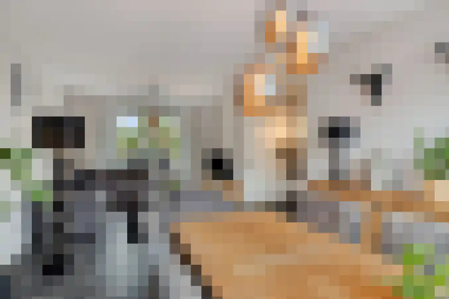 Marehoekstraat 56 Oud-Vossemeer thumbnail 15