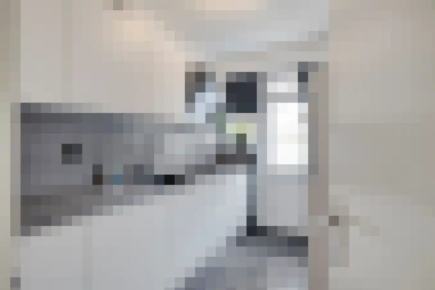 Marehoekstraat 56 Oud-Vossemeer thumbnail 16