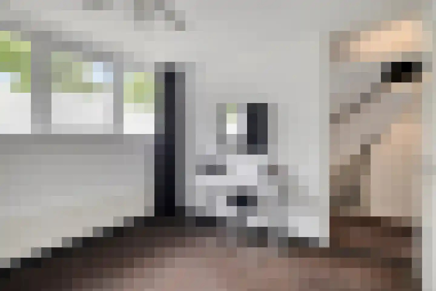 Marehoekstraat 56 Oud-Vossemeer thumbnail 24