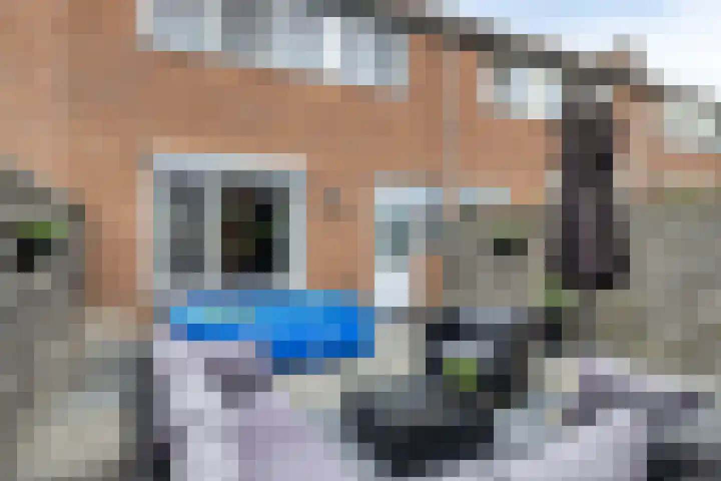 Marehoekstraat 56 Oud-Vossemeer thumbnail 37