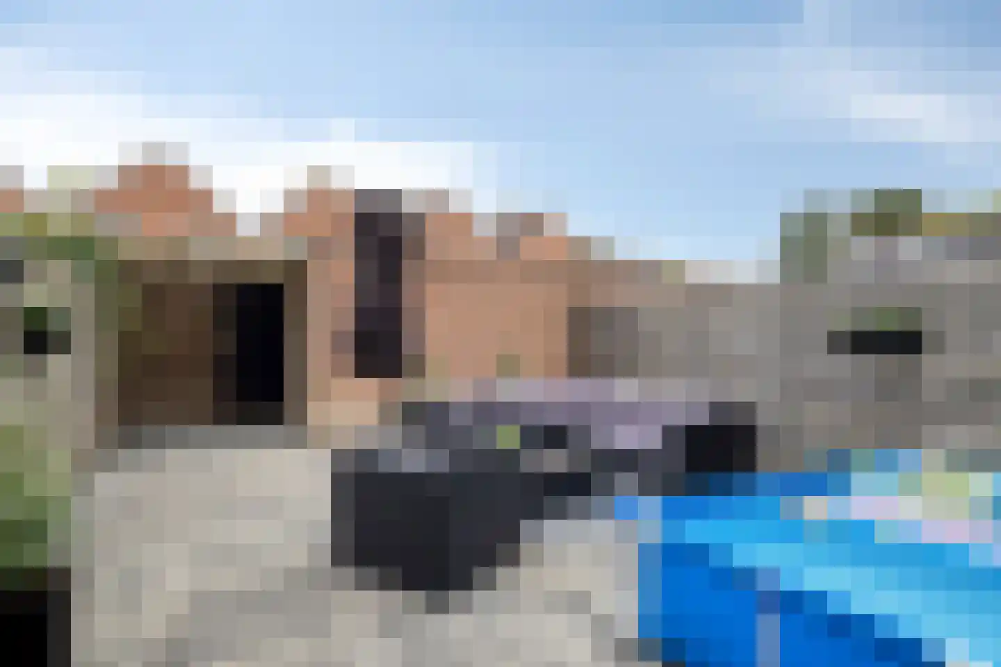Marehoekstraat 56 Oud-Vossemeer thumbnail 38