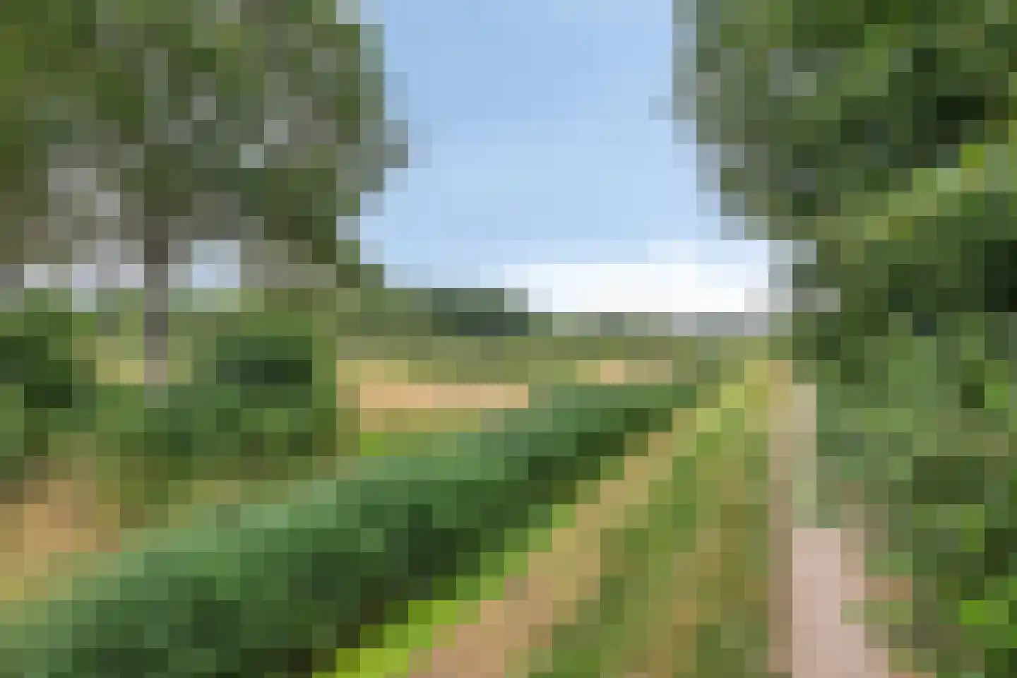 Marehoekstraat 56 Oud-Vossemeer thumbnail 42