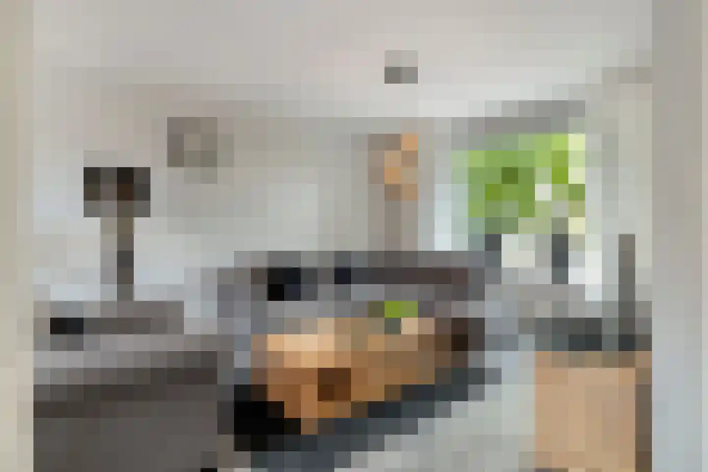 Marehoekstraat 56 Oud-Vossemeer thumbnail 8