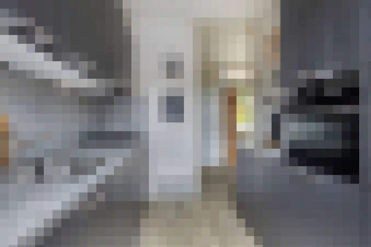 Marehoekstraat 58 Oud-Vossemeer thumbnail 18