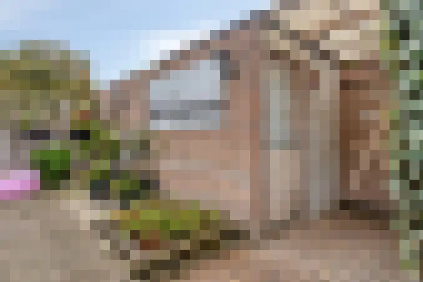 Marehoekstraat 58 Oud-Vossemeer thumbnail 32