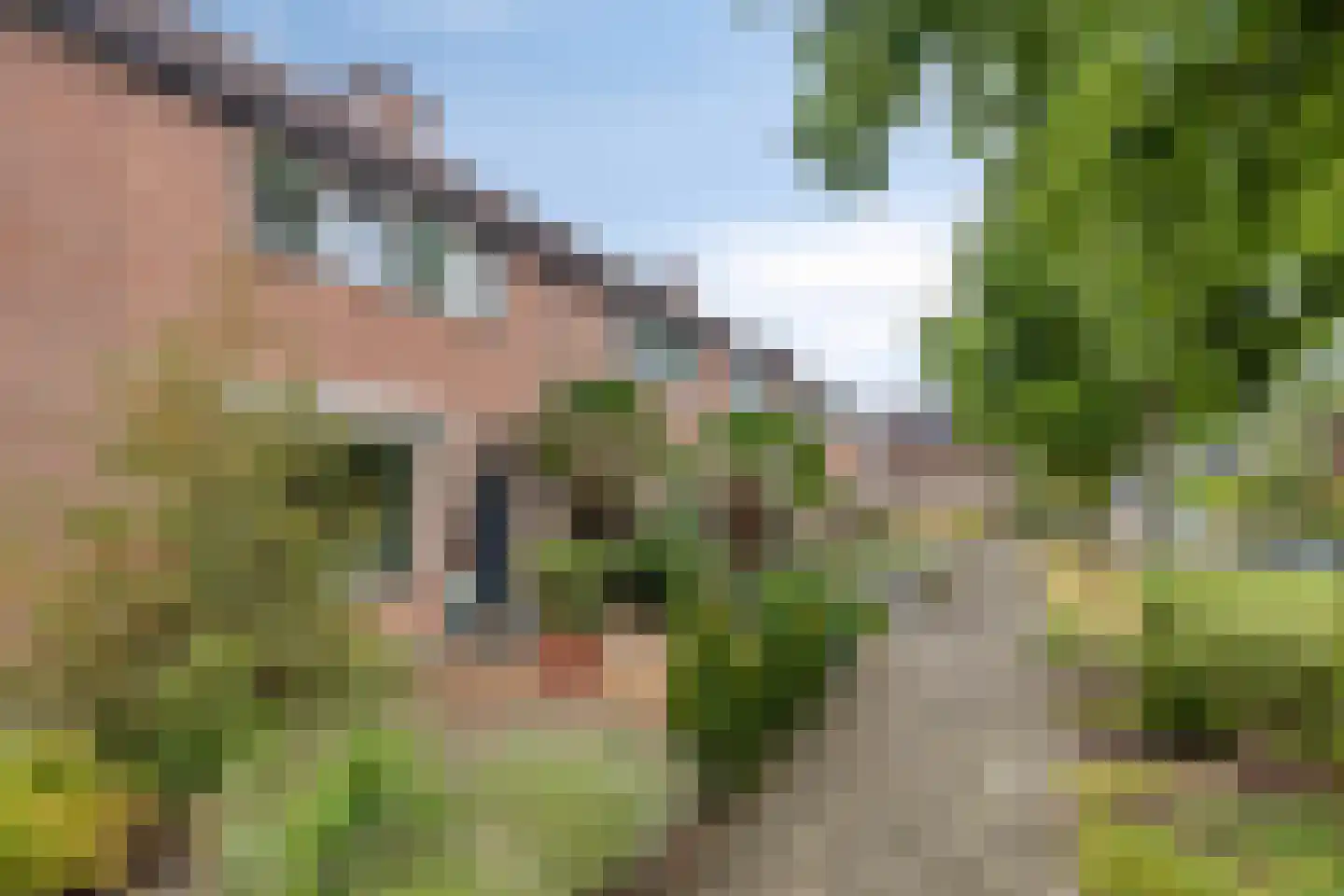 Marehoekstraat 58 Oud-Vossemeer thumbnail 35