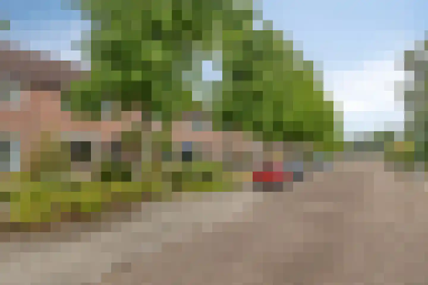 Marehoekstraat 58 Oud-Vossemeer thumbnail 36