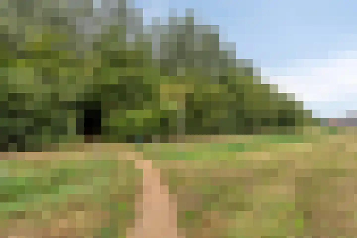 Marehoekstraat 58 Oud-Vossemeer thumbnail 38