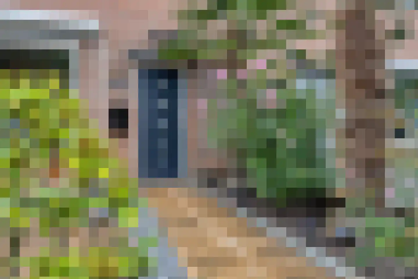 Marehoekstraat 58 Oud-Vossemeer thumbnail 9
