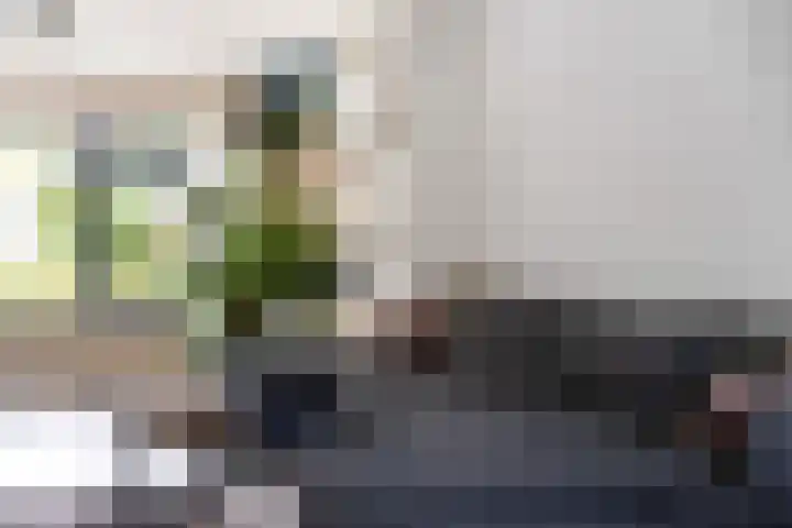Marelaan 20 De Meern thumbnail 17