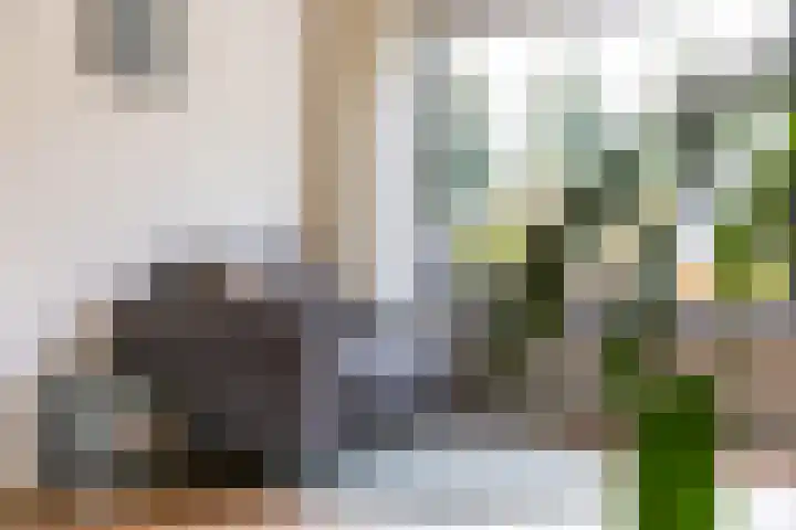 Marelaan 20 De Meern thumbnail 19