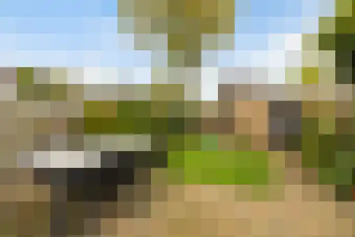 Marelaan 20 De Meern thumbnail 31