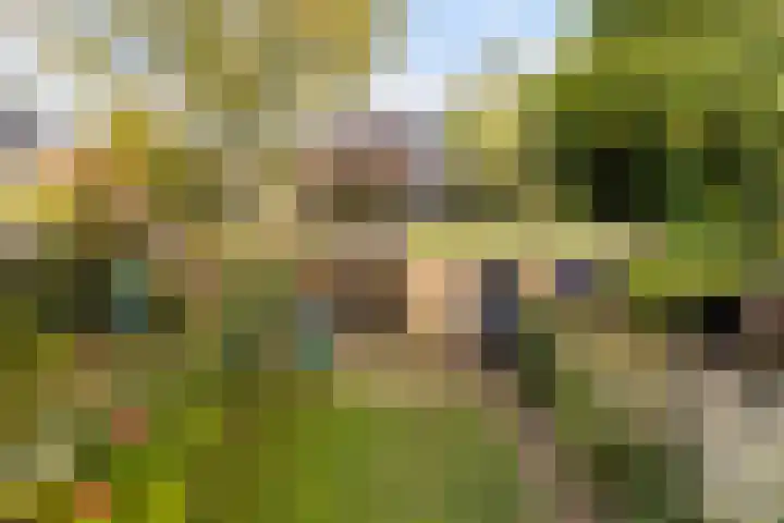 Marelaan 20 De Meern thumbnail 37