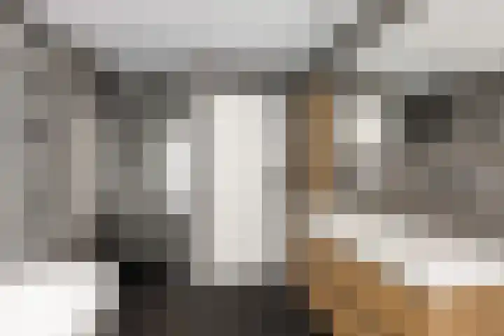 Marelaan 20 De Meern thumbnail 45