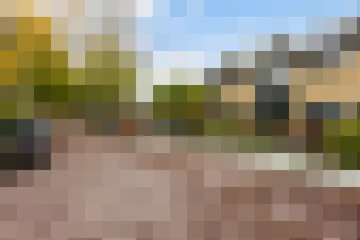 Marelaan 20 De Meern thumbnail 57