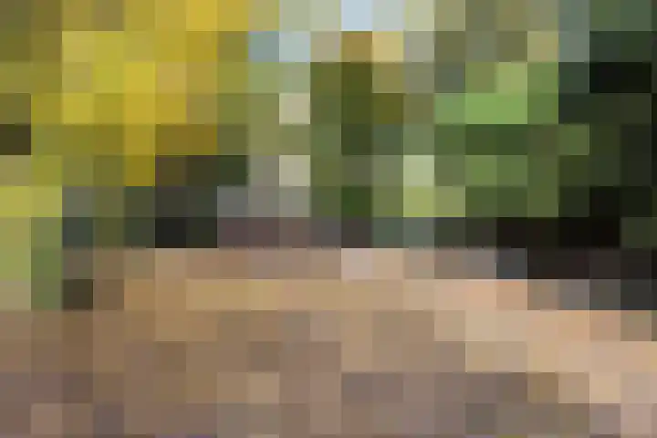 Marelaan 20 De Meern thumbnail 59