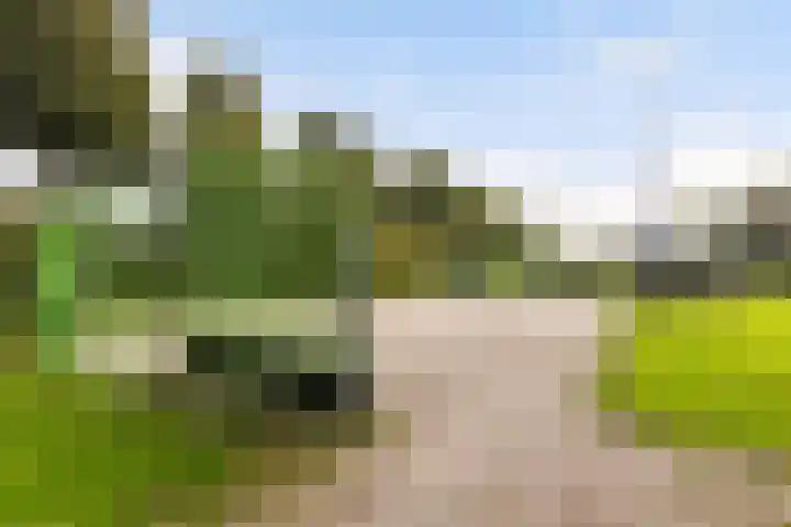 Marelaan 20 De Meern thumbnail 61