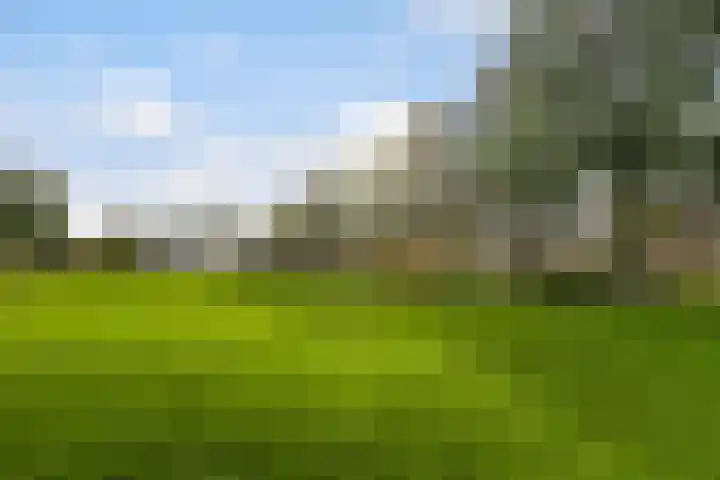 Marelaan 20 De Meern thumbnail 63