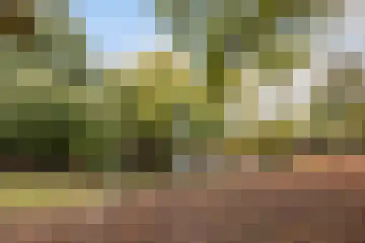 Marelaan 20 De Meern thumbnail 66