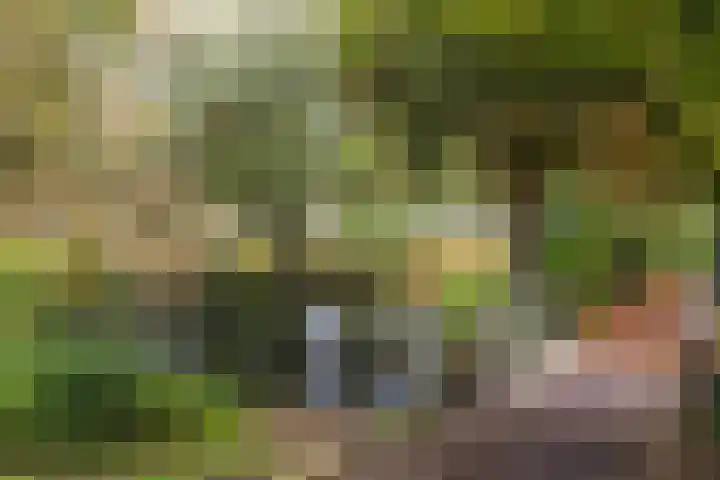 Marelaan 20 De Meern thumbnail 67