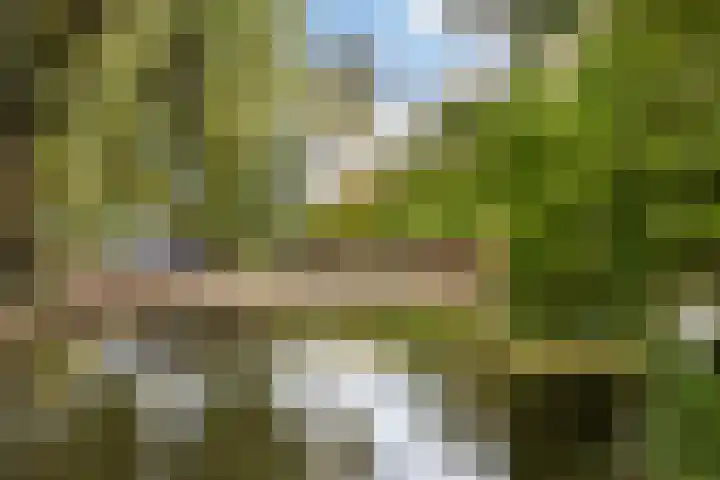 Marelaan 20 De Meern thumbnail 68