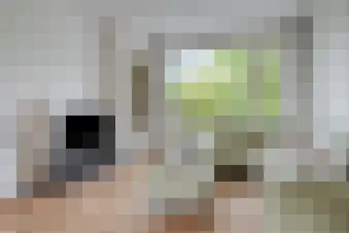 Marelaan 28 Oegstgeest thumbnail 13